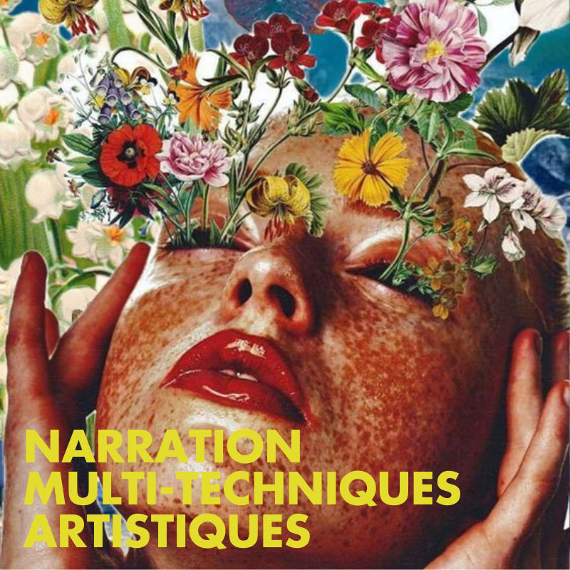 formation scenarisation multi-techniques